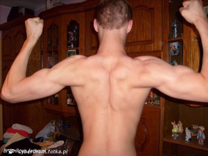 muscle