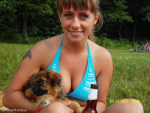 dog, pet