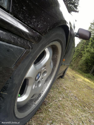 wheel, tire