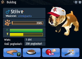 Stiiv :**