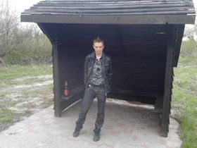 Zdjęcie 68731741