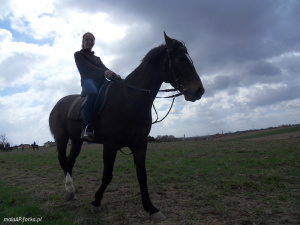 hair, horse, bridle, rein, sports