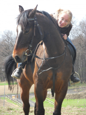 hair, horse, bridle, rein