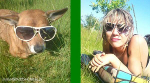 fun, cool, glasses, leisure, sunglasses, goggles