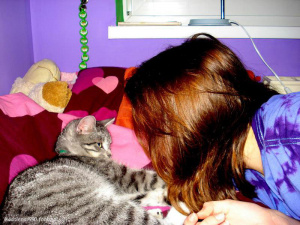 ear, cat, pet