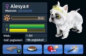 Mój piesio xD Alesya ;] zwany "mop" ;D