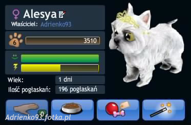 Mój piesio xD Alesya ;] zwany "mop" ;D