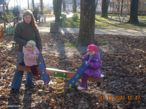 fun, forest, soil