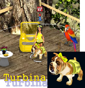 Turbina ;)