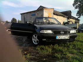 Zdjęcie 69813932