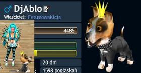 FetusiowaKicia