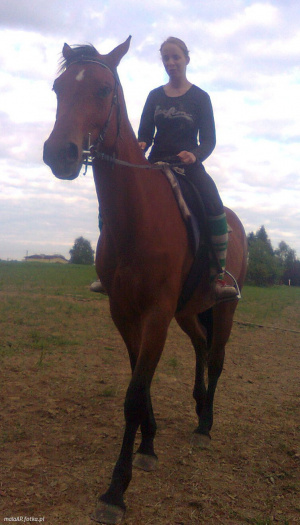 hair, horse, bridle, rein