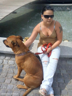 muscle, dog, pet