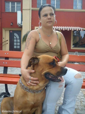 muscle, dog, pet