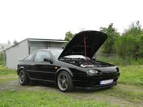 Zdjęcie 70704193