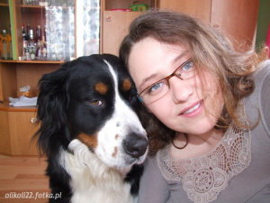 glasses, dog, pet