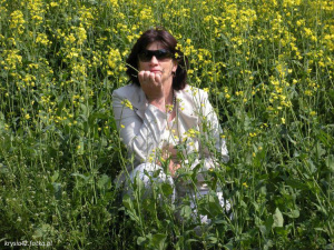 field, food, petal, plant, flower, vegetable