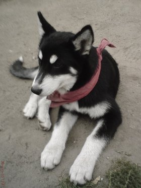 Zdjęcie 71712547