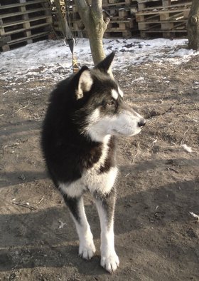 Zdjęcie 71712583