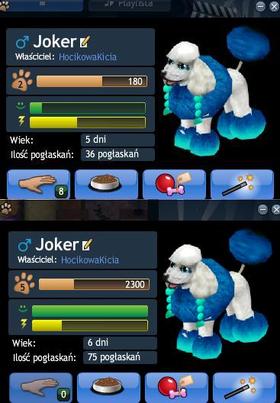 Zdjęcie 72199809
