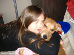 dog, pet