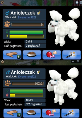 Ewenement922- Tygrysek YING ( białe futerko )