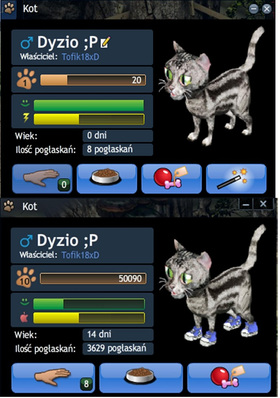 Tofik18xD Tygrysica Yang...x)