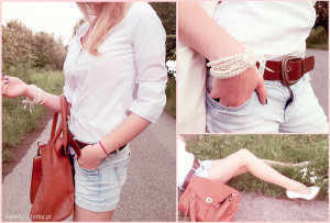 handbag, bag, shorts