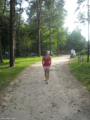 leisure, forest, race, road
