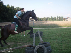 hair, horse, bridle, rein, sports