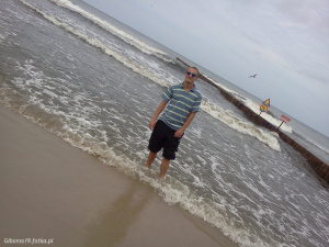 fun, vacation, beach