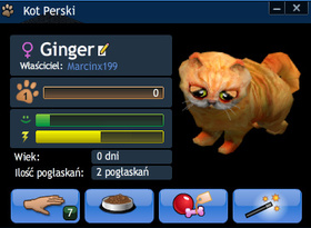 Ginger