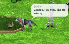 królik masz przechlapane xD .!!