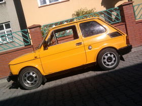 Zdjęcie 75501319