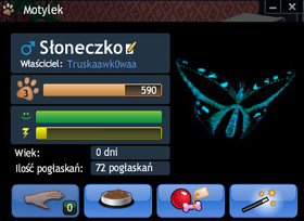 Słoneczko
