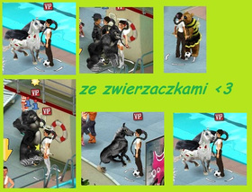 lola kocha zwierzaczki, a zwierzaczki kochaja lole :D ze zwierzaczkami oraz kochanymi rodzicami :D:****