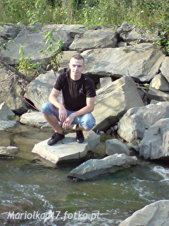 leisure, rock, jungle