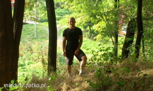 forest, jungle
