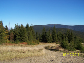 Najładniejsze zdjęcie użytkownika bigjess - 