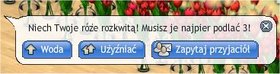 Zdjęcie 76469089