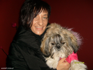 dog, pet