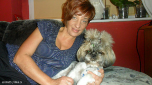 dog, pet