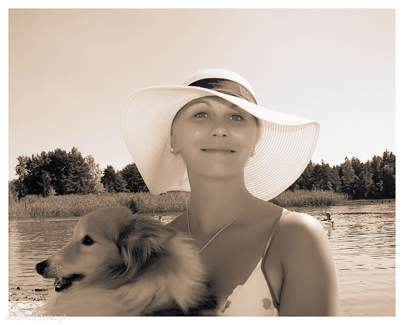 dog, hat, pet