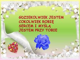 Zdjęcie 76797774