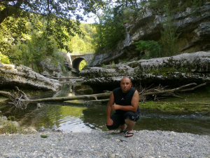 leisure, vacation, rock, river, jungle