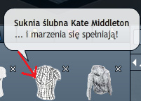 Zdjęcie 78097453