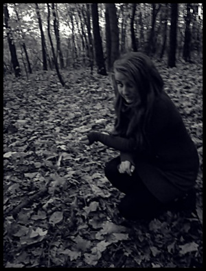 monochrome, forest