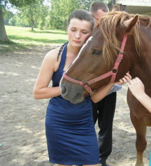 hair, horse, bridle, rein
