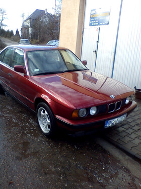 Zdjęcie 79472641