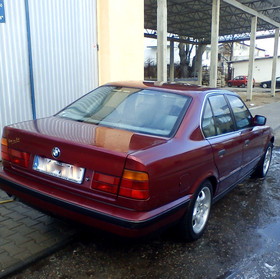 Zdjęcie 79472678